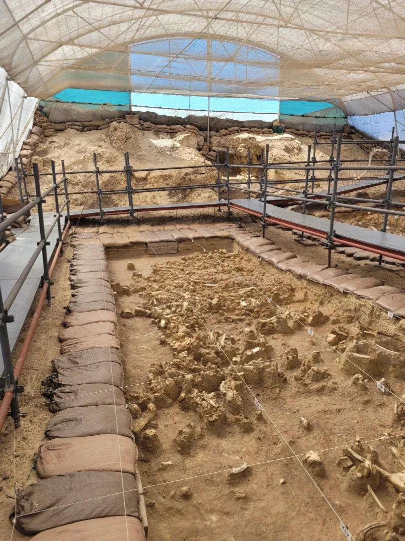 Excavation site at the West Coast Fossil Park