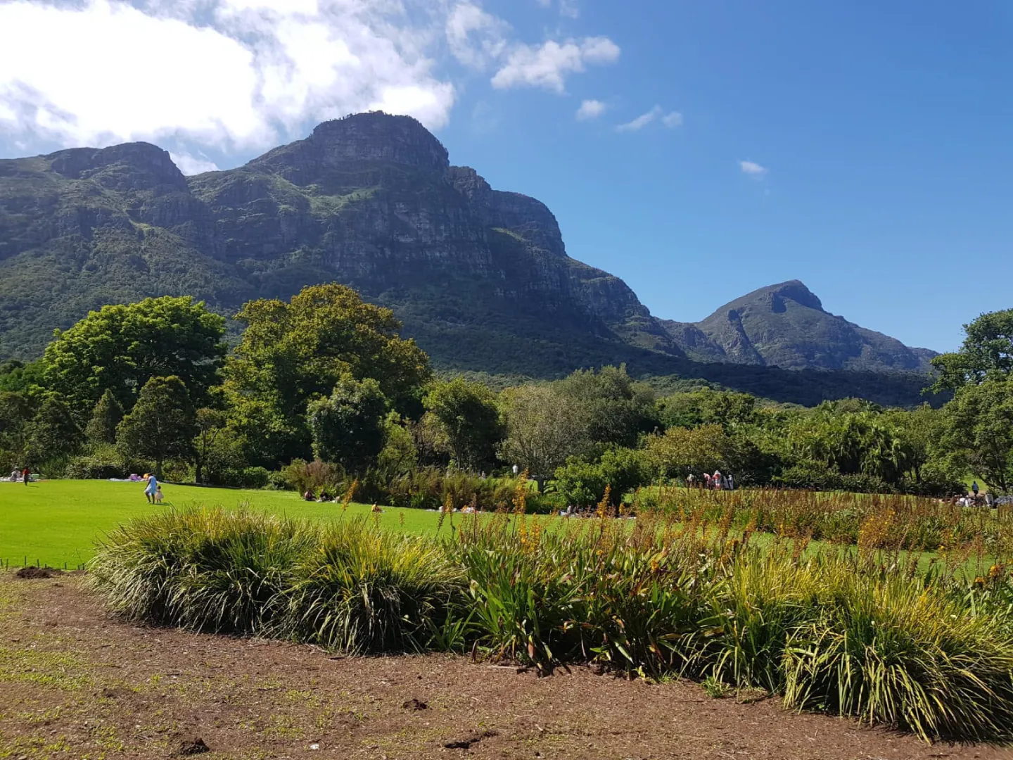 Kirstenbosch National Botanical Garden