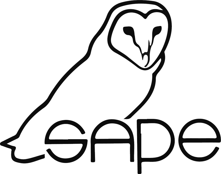 SAPE logo