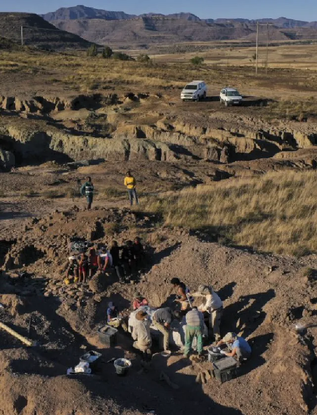 Fossil site in the upper Karoo, southern Africa