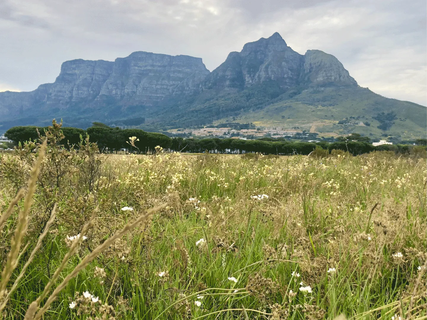 Table Mountain, Cape Town